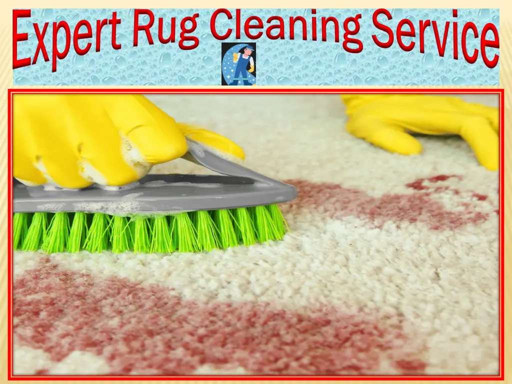 expert rug cleaning service expert rug cleaning 1