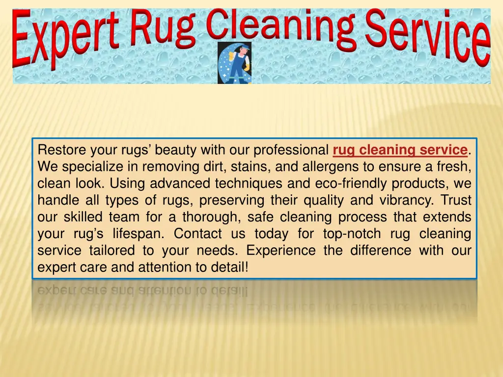 expert rug cleaning service expert rug cleaning 3