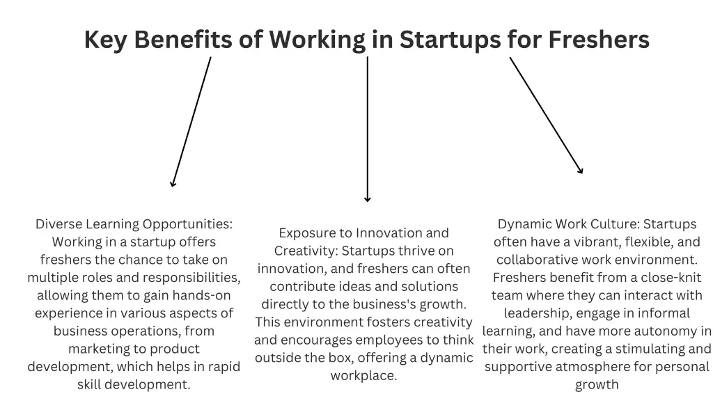 key benefits of working in startups for freshers