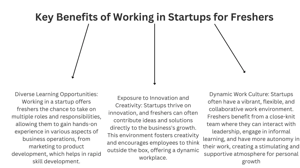key benefits of working in startups for freshers