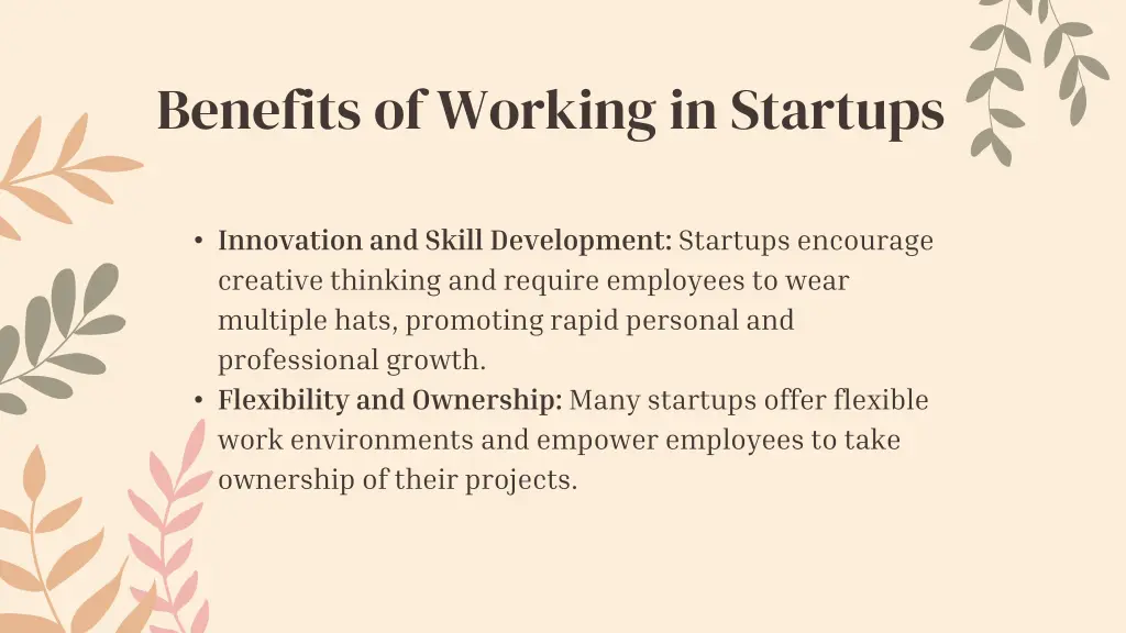 benefits of working in startups