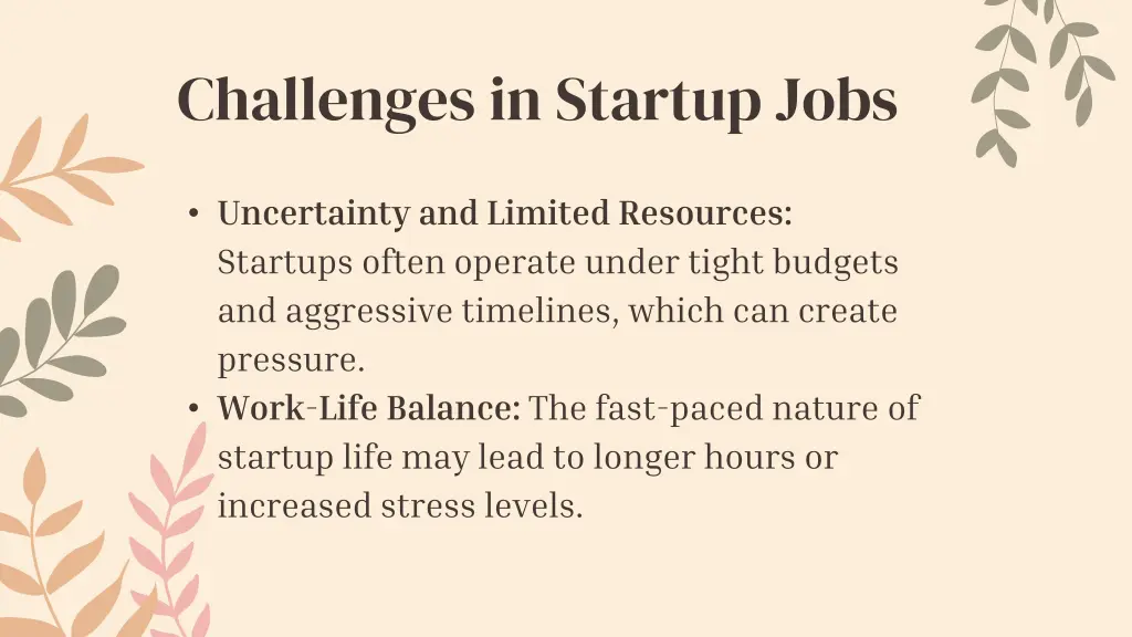 challenges in startup jobs