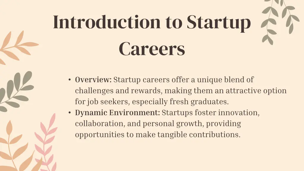introduction to startup careers