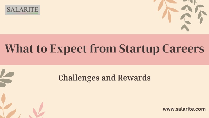 what to expect from startup careers