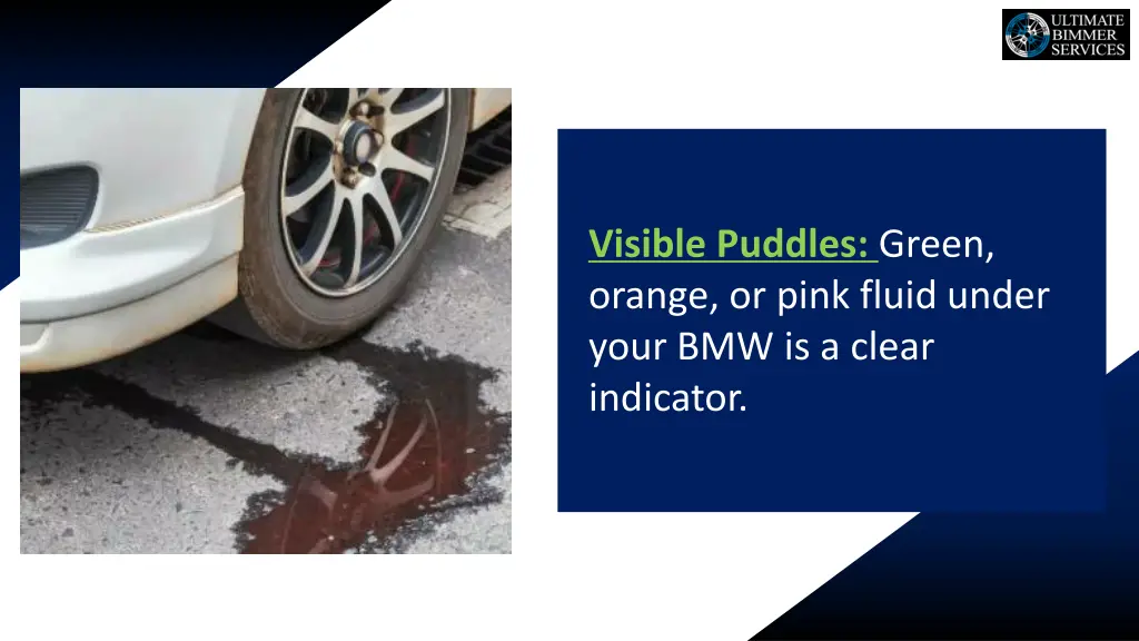 visible puddles green orange or pink fluid under
