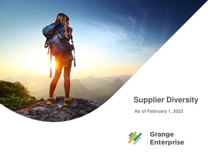 supplier diversity