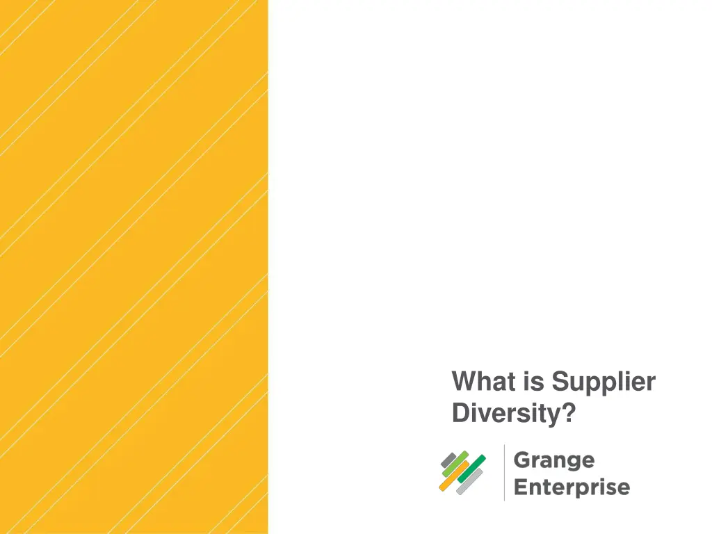 what is supplier diversity