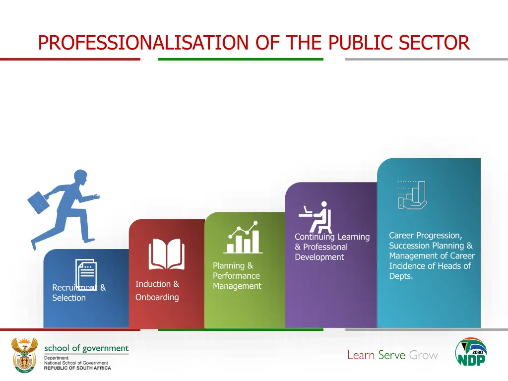 professionalisation of the public sector