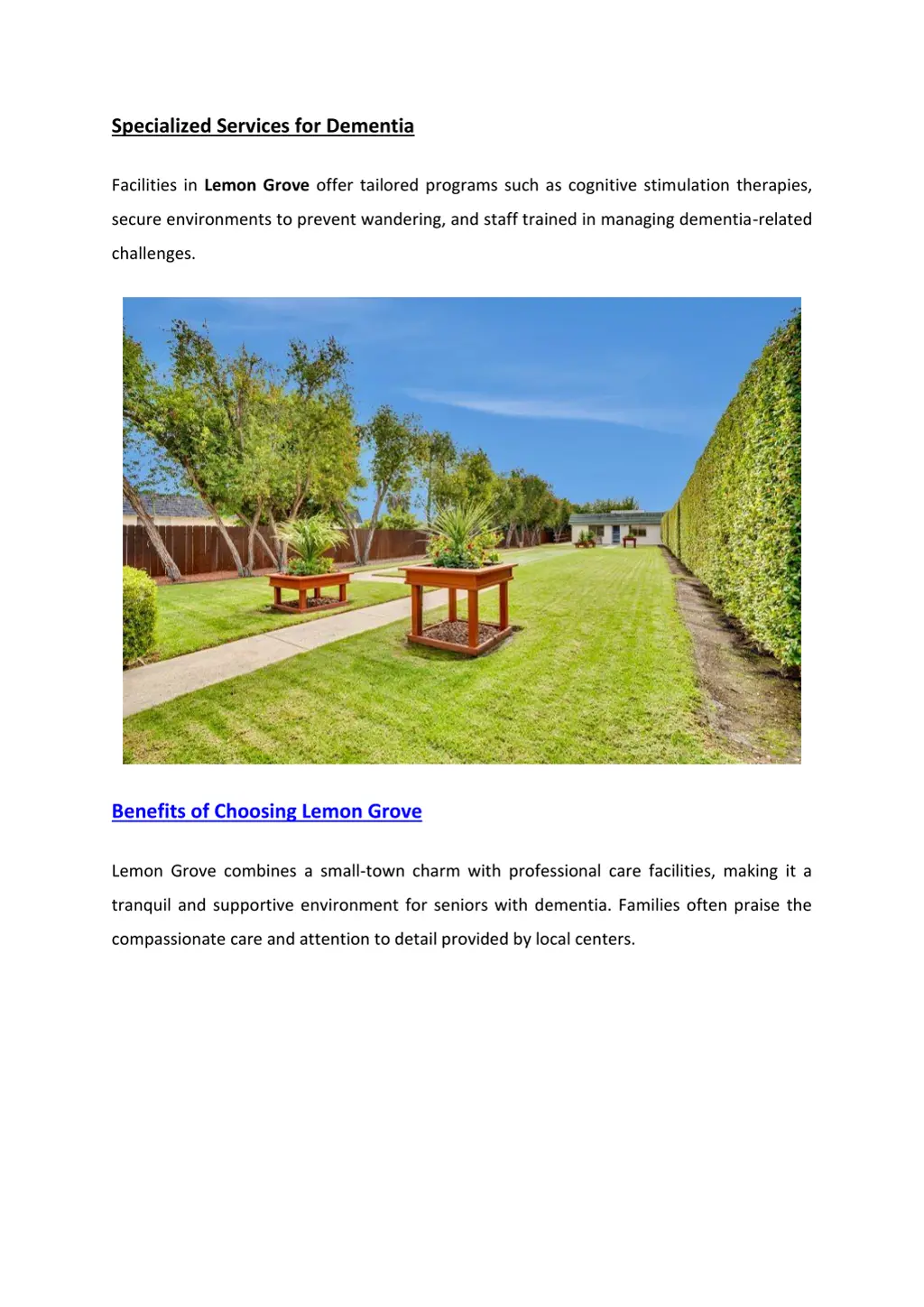 specialized services for dementia