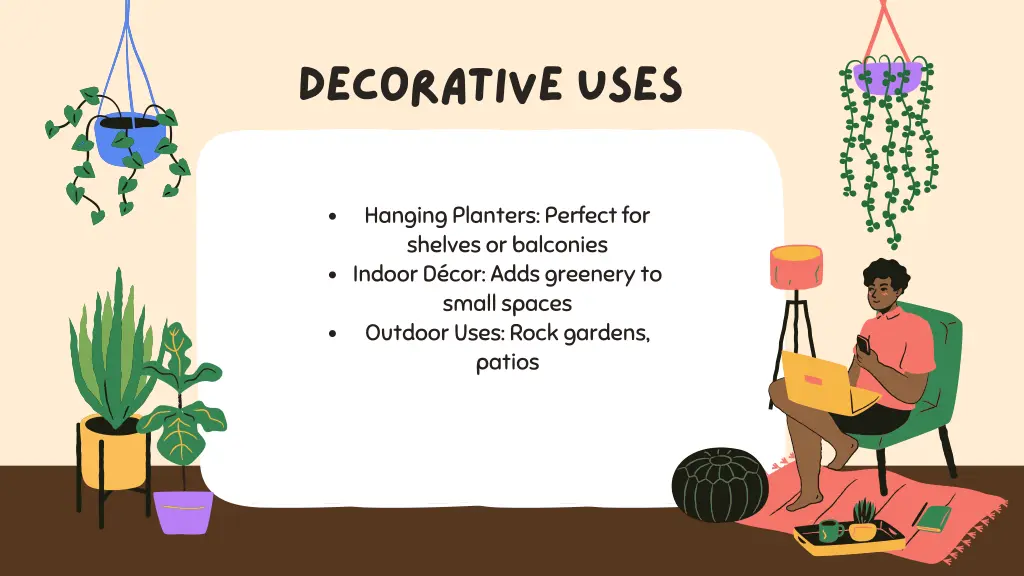 decorative uses