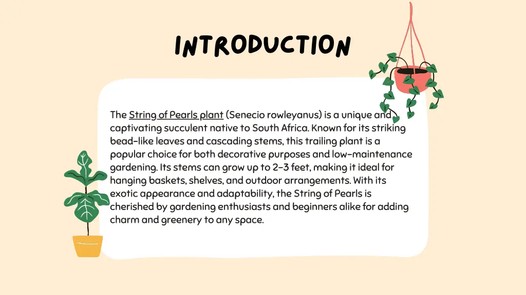 introduction