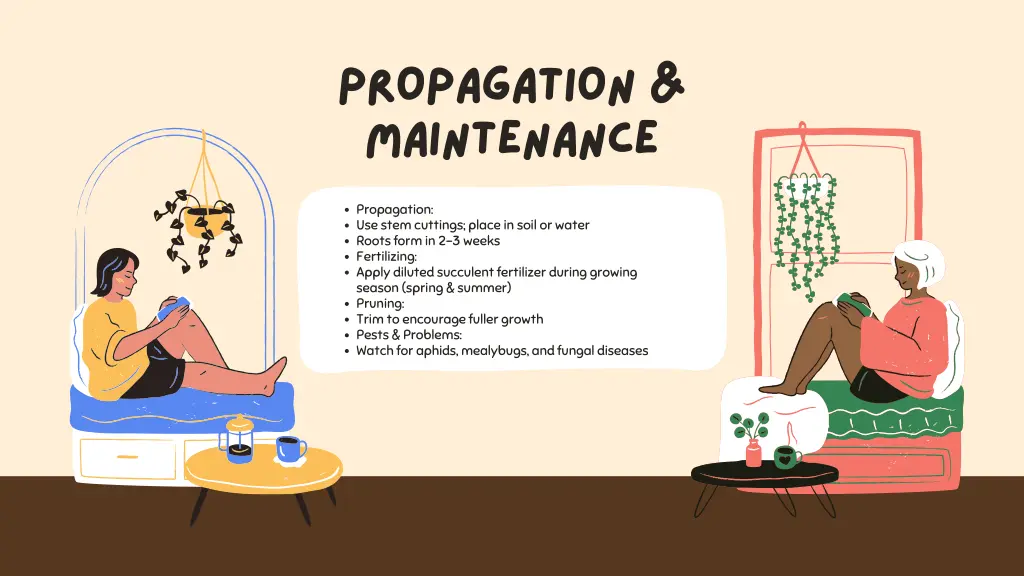 propagation maintenance