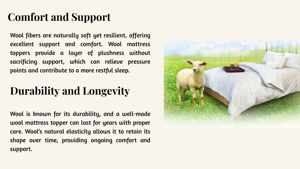 comfort and support