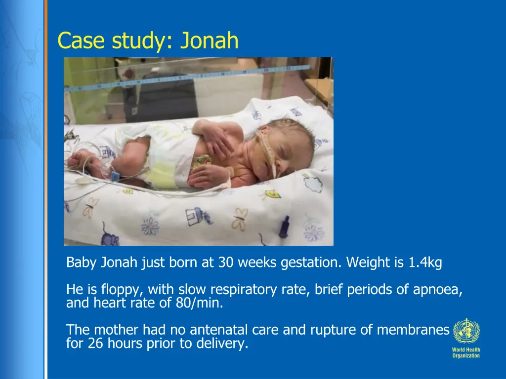 case study jonah