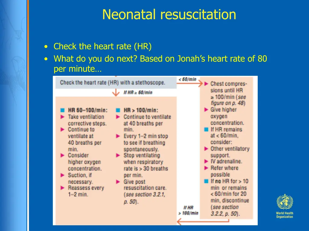 neonatal resuscitation 1