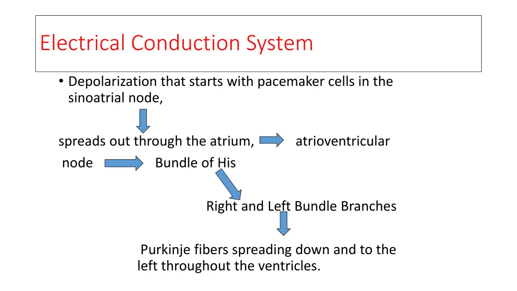 electrical conduction system