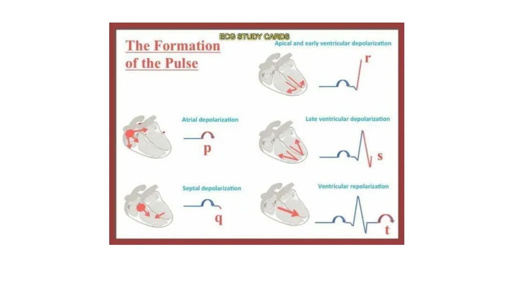 slide7