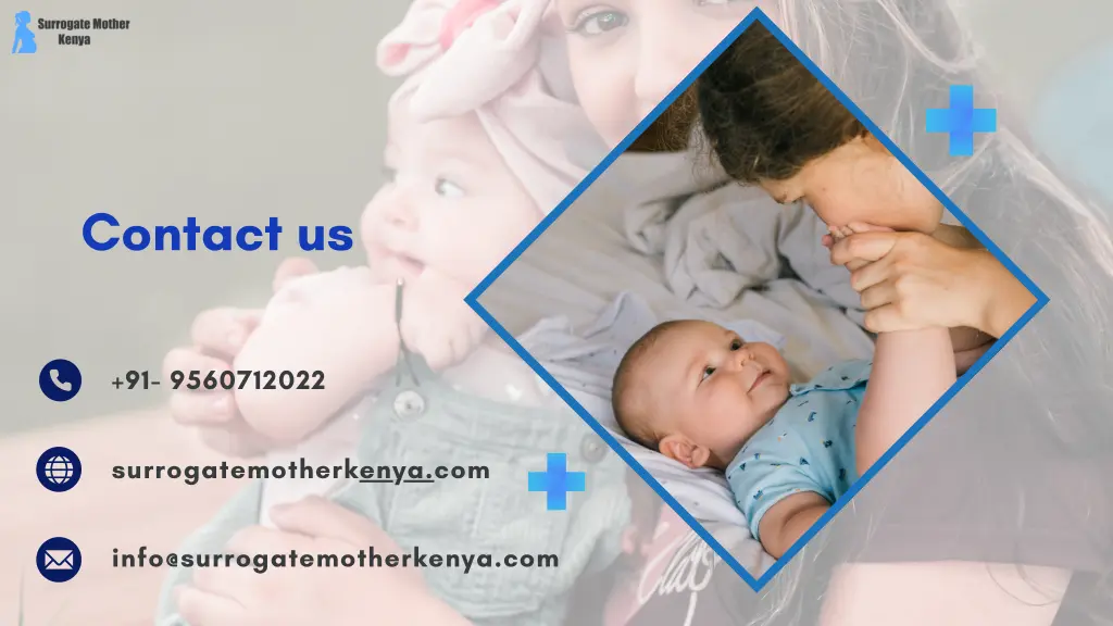 contact us
