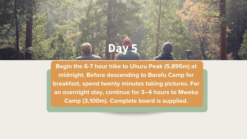 day 5