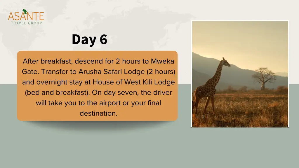 day 6