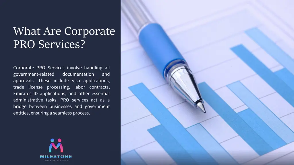 what are corporate pro services