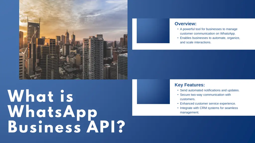 overview a powerful tool for businesses to manage