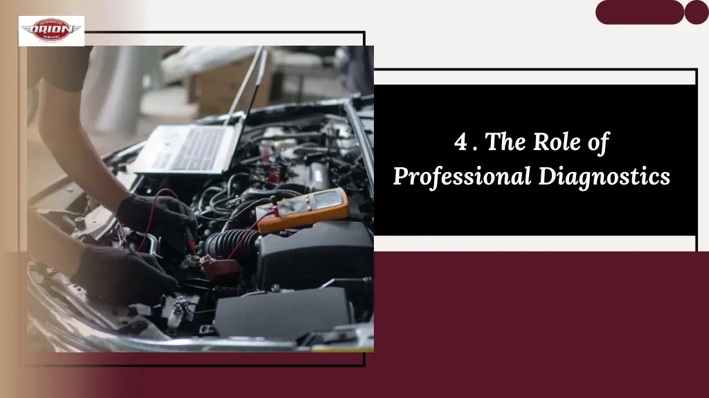 4 the role of professional diagnostics