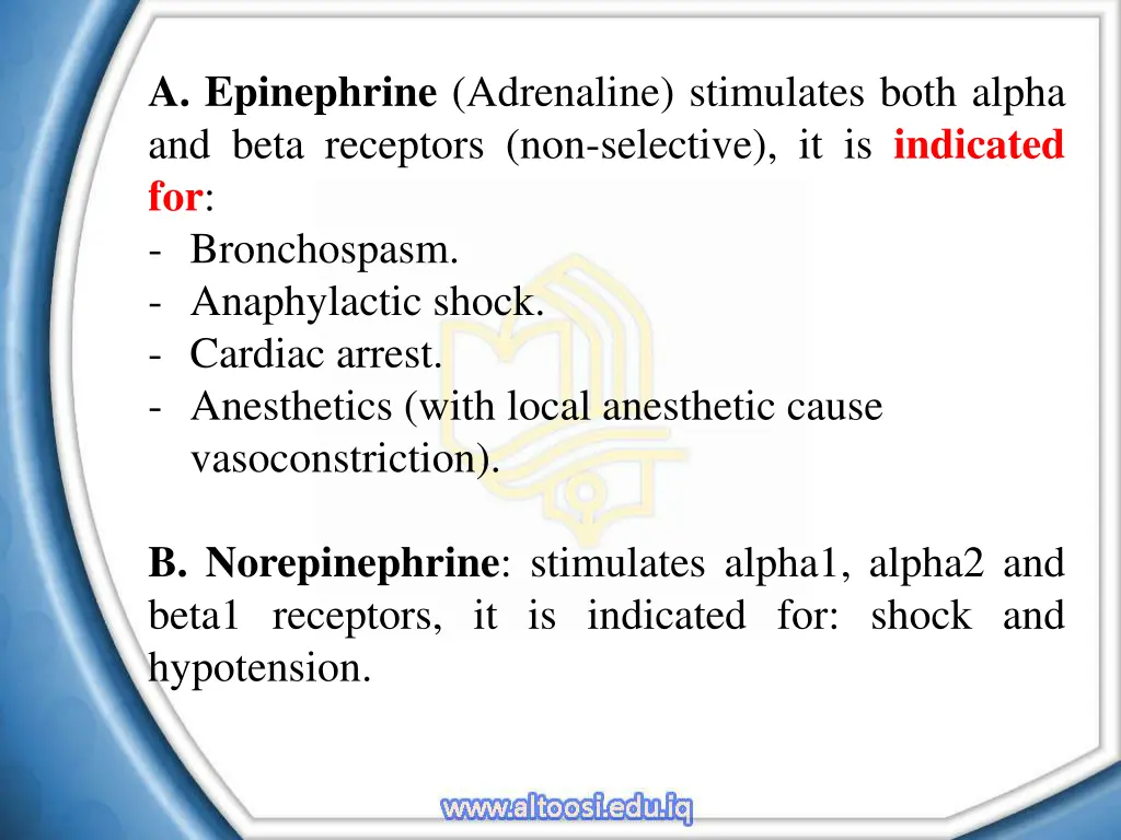 a epinephrine adrenaline stimulates both alpha