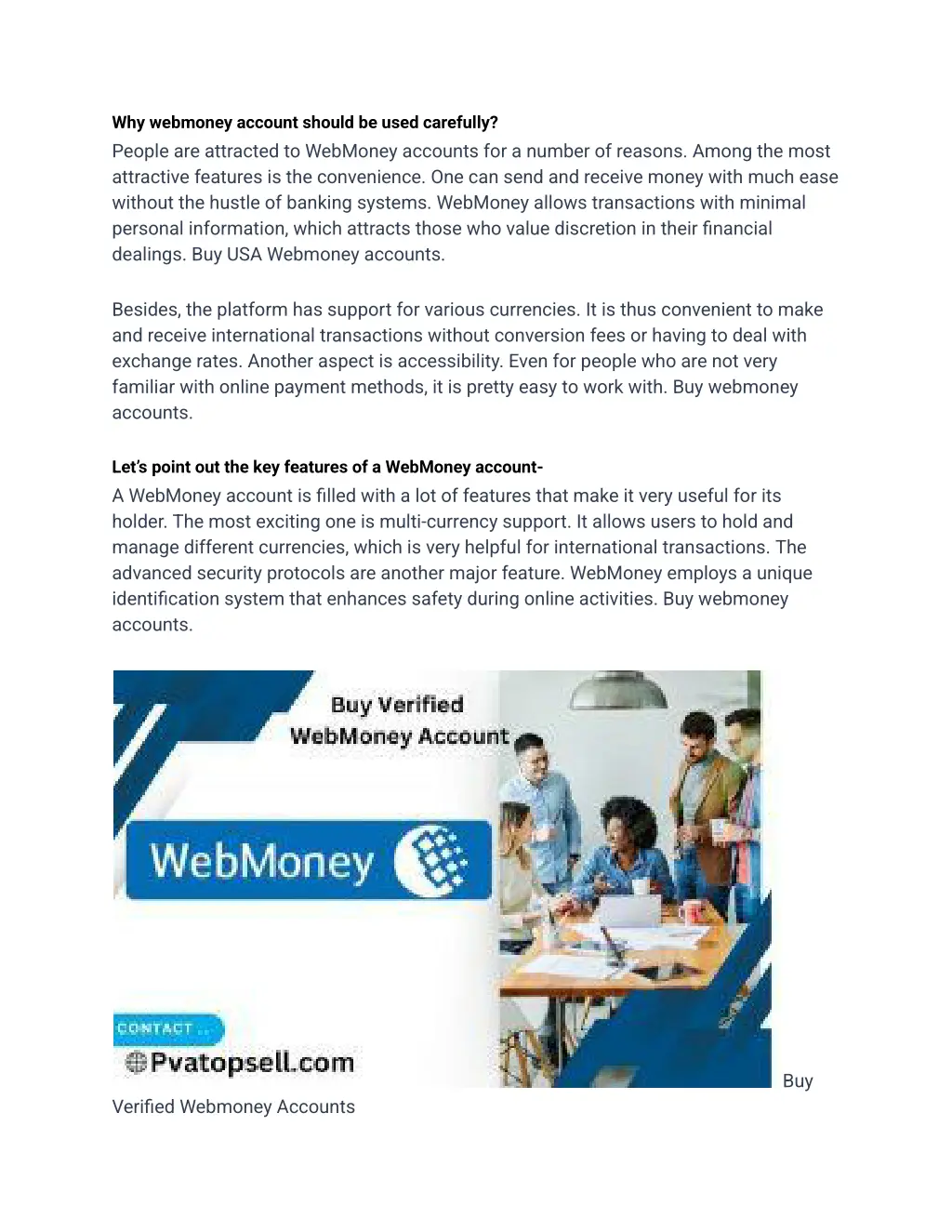 why webmoney account should be used carefully