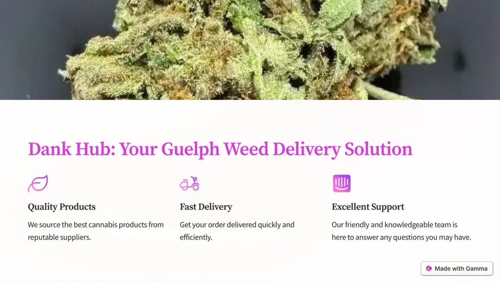 dank hub your guelph weed delivery solution