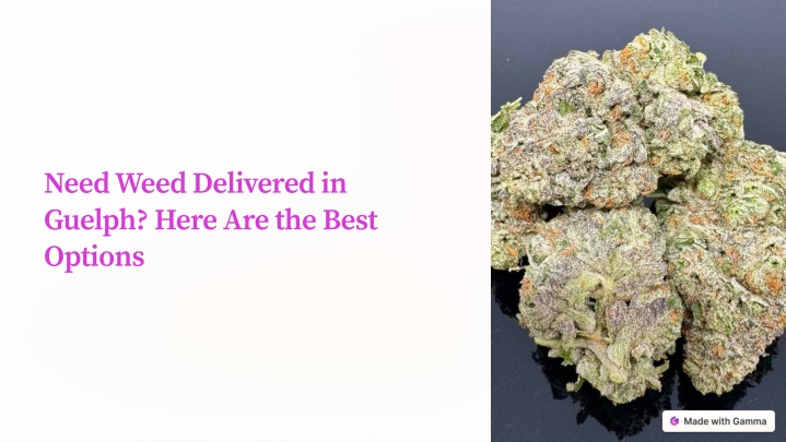 need weed delivered in guelph here are the best