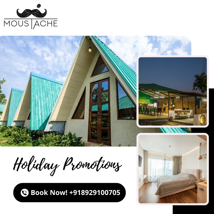 holiday promotions