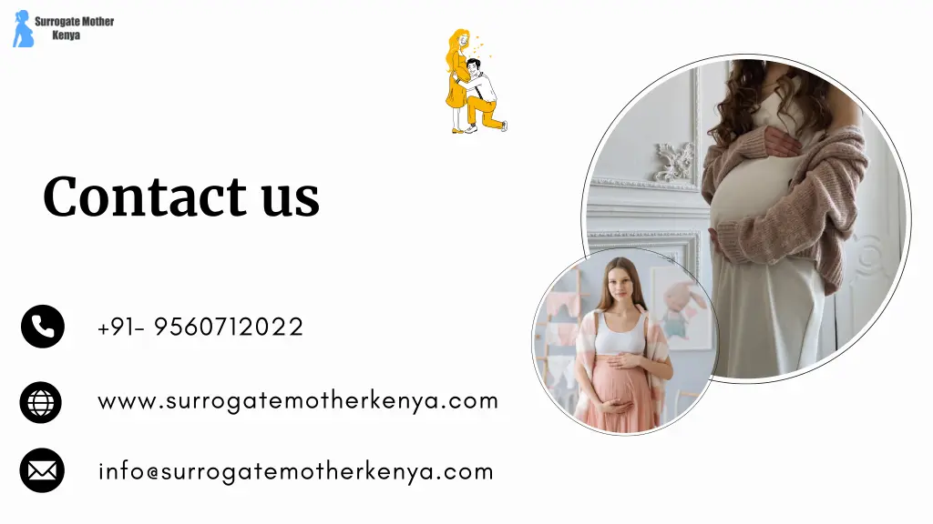 contact us