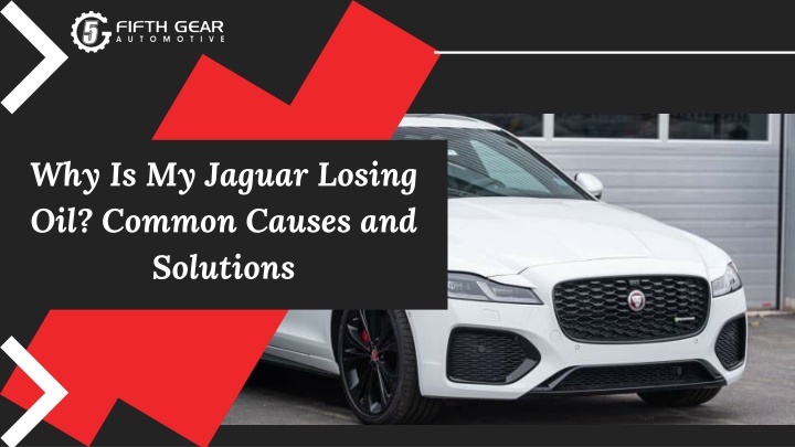 why is my jaguar losing oil common causes