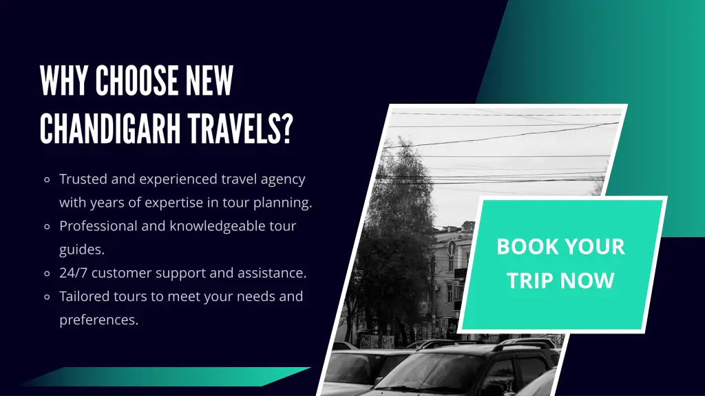 book your trip now