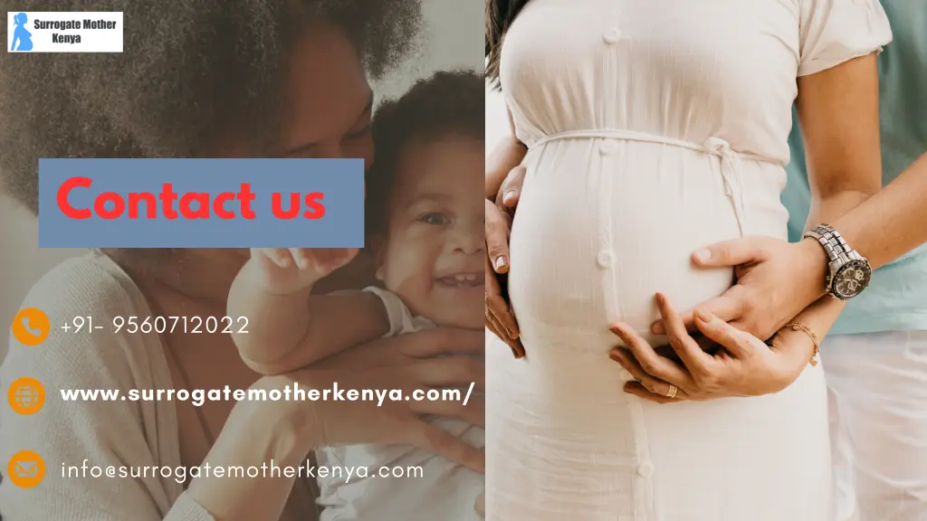 contact us