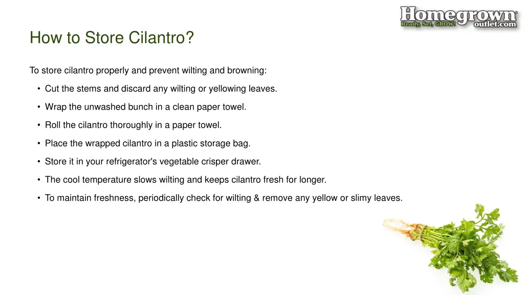 how to store cilantro