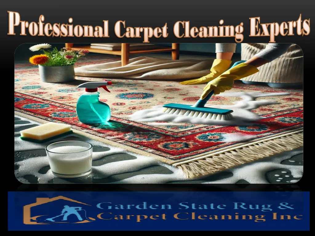professional carpet cleaning experts professional 1