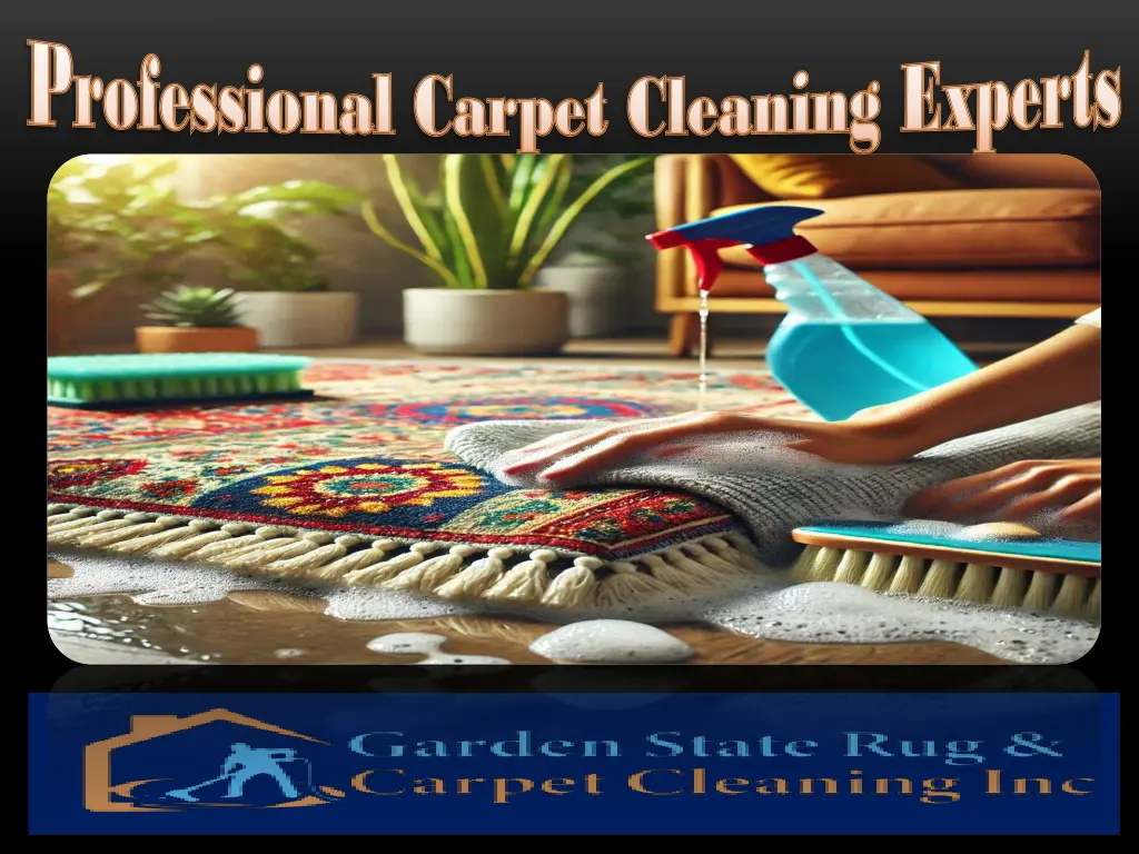 professional carpet cleaning experts professional 2