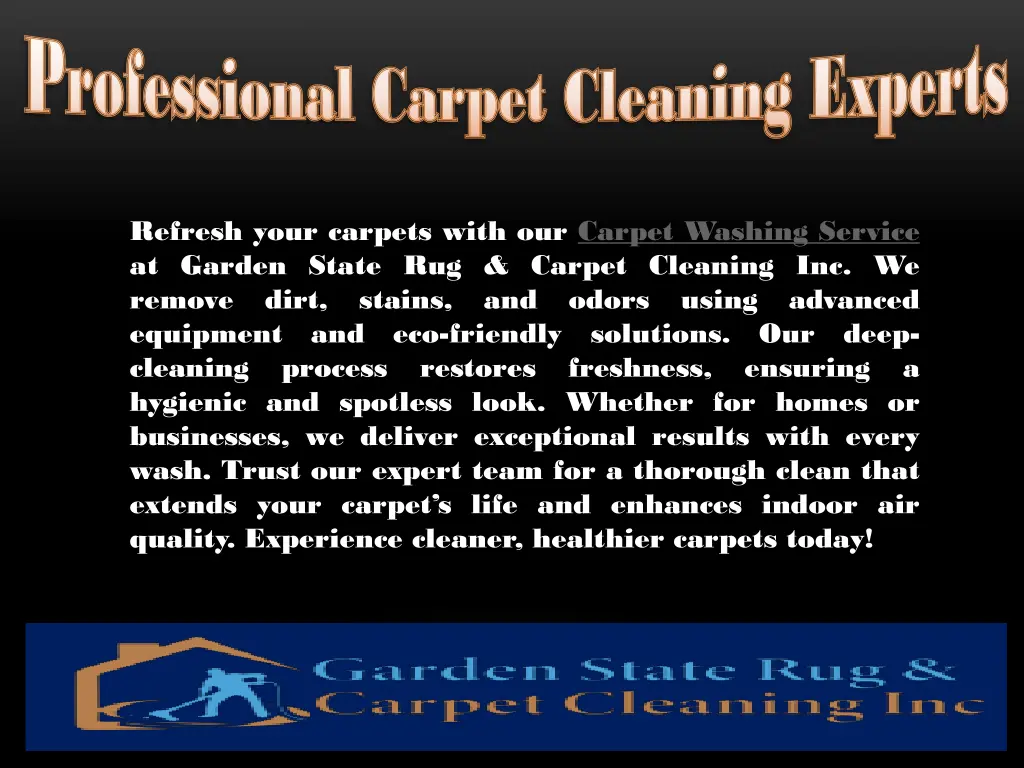 professional carpet cleaning experts professional 3