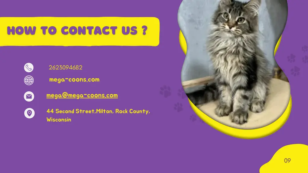 2623094682