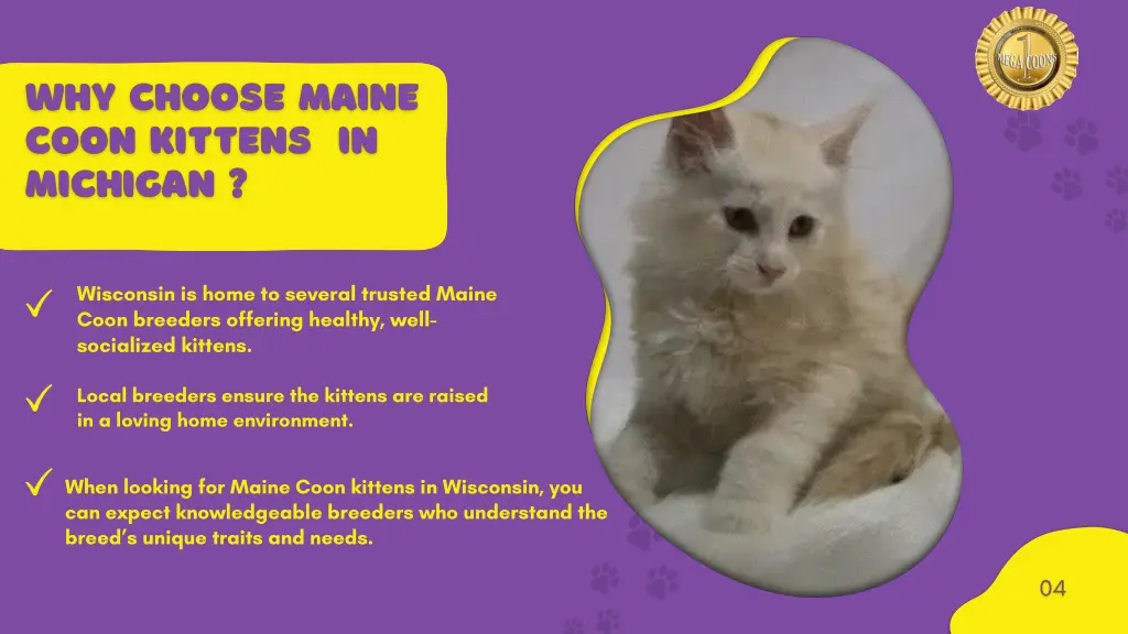 wisconsin is home to several trusted maine coon