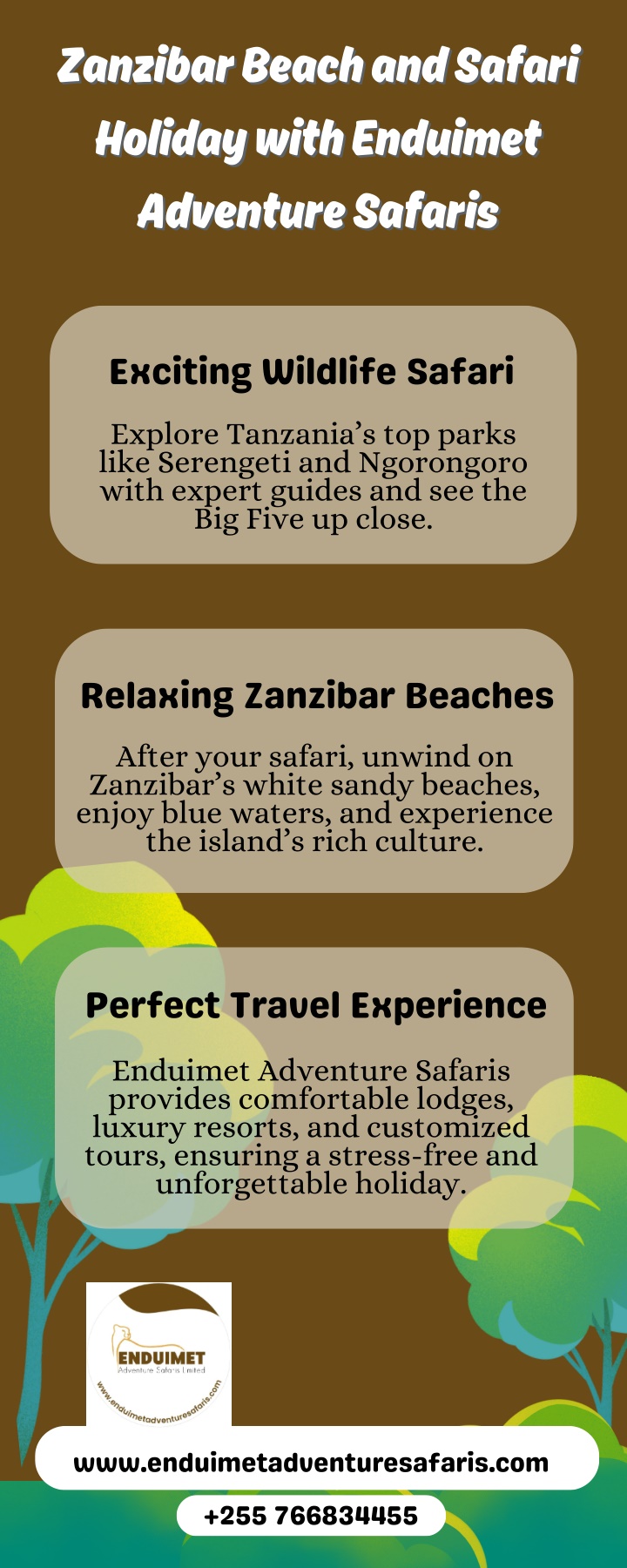 zanzibar beach and safari zanzibar beach
