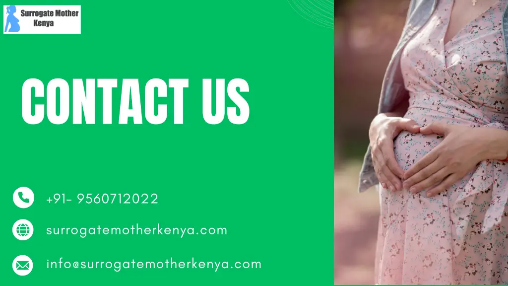 contact us