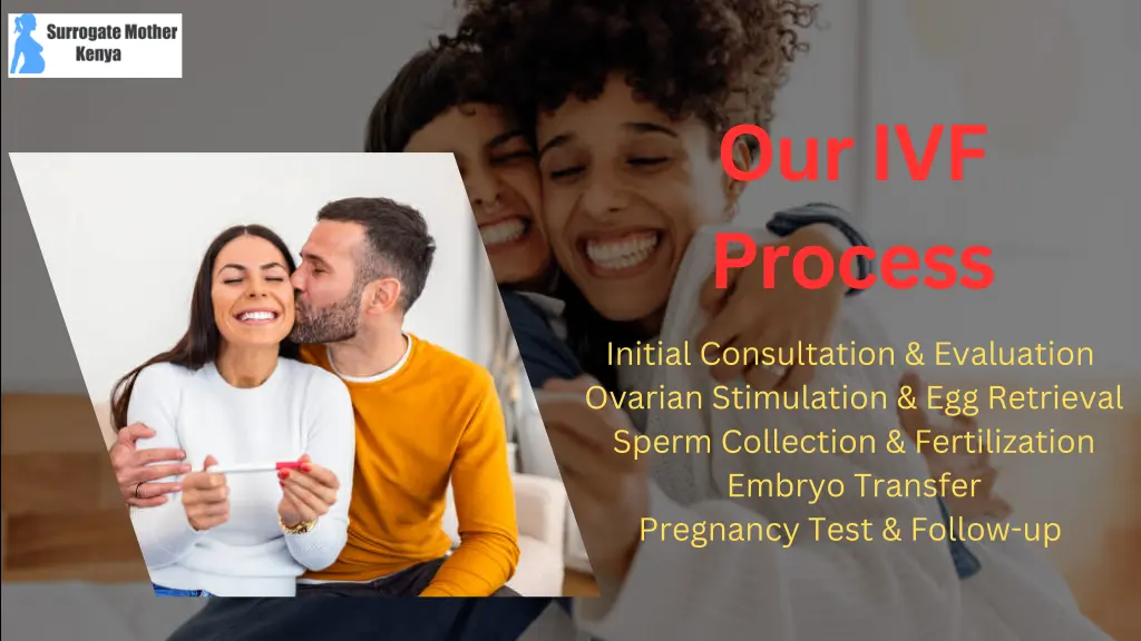 our ivf process