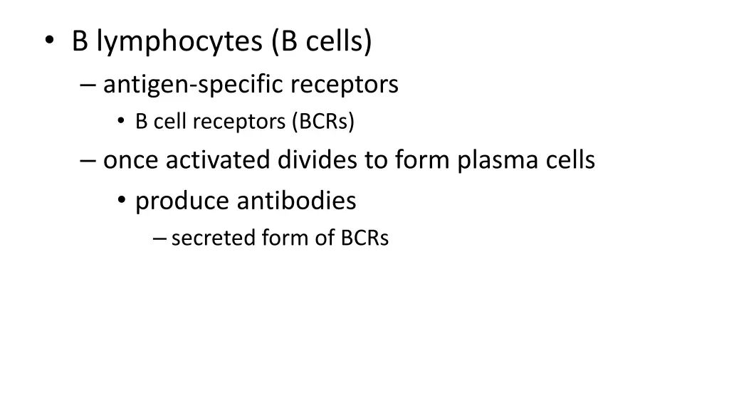 b lymphocytes b cells antigen specific receptors