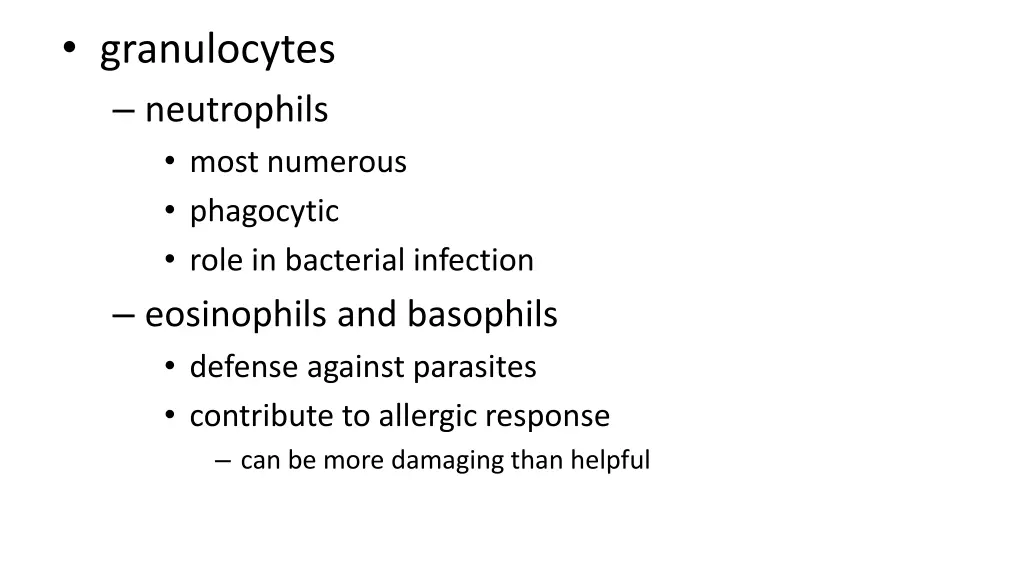 granulocytes neutrophils most numerous phagocytic