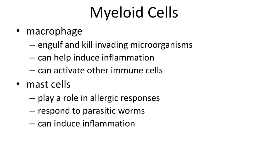 myeloid cells