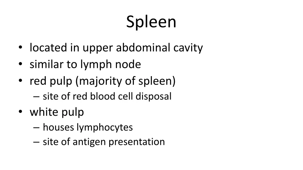 spleen