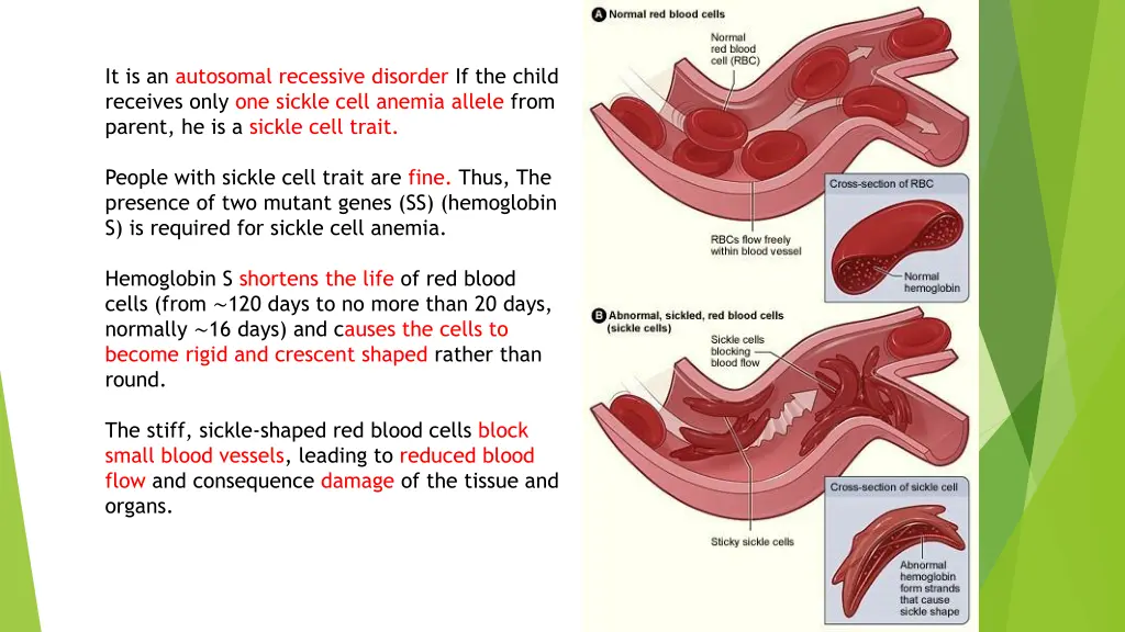 it is an autosomal recessive disorder